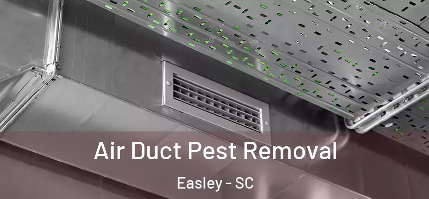 Air Duct Pest Removal Easley - SC