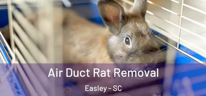 Air Duct Rat Removal Easley - SC