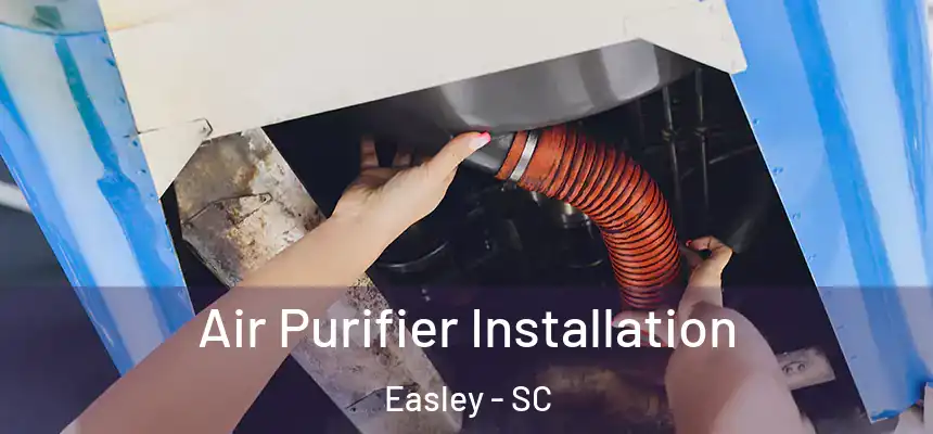  Air Purifier Installation Easley - SC