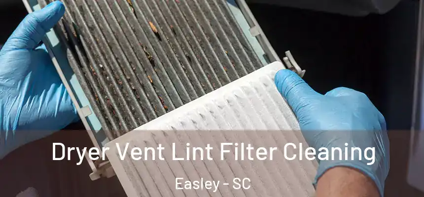  Dryer Vent Lint Filter Cleaning Easley - SC