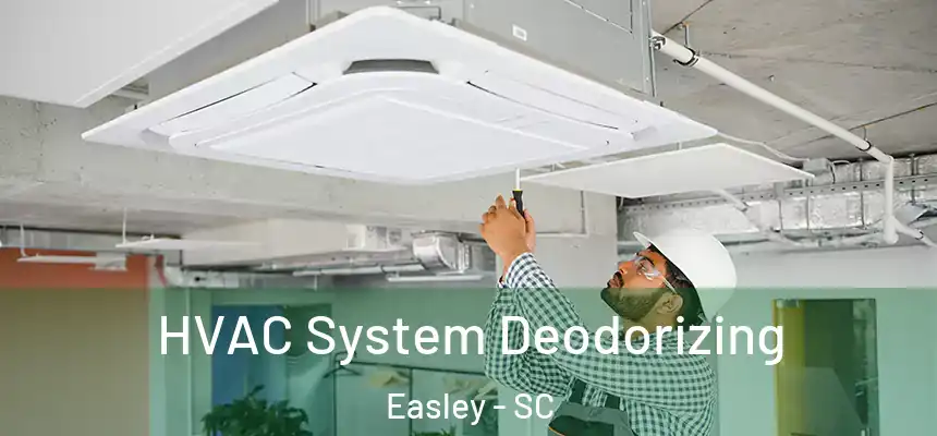  HVAC System Deodorizing Easley - SC