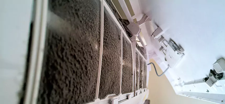 Preventive Air Duct Bacteria Removal in Easley