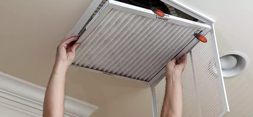 Preventive Cockroach-Proofing for Ducts in Easley