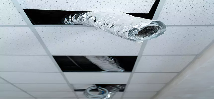 Affordable HVAC Sanitizing After Pest Removal in Easley