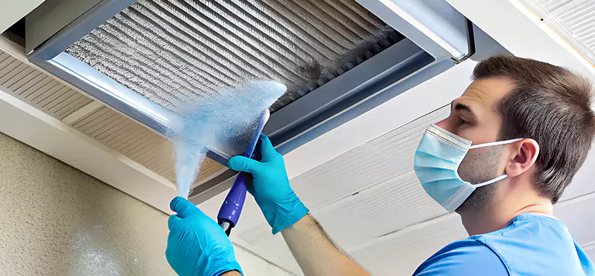 Proactive Dryer Vent & Auxiliary Duct Pollen Cleanup in Easley, SC