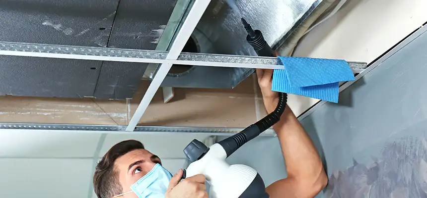 Our Air Duct Rodent Removal Services in Easley, SC