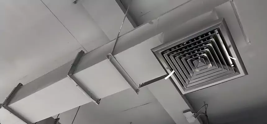 Our Rodent Droppings In Vents Services in Easley, SC