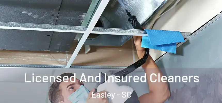Licensed And Insured Cleaners Easley - SC