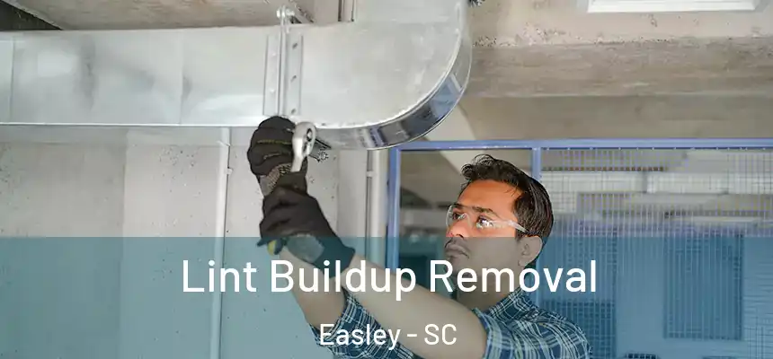 Lint Buildup Removal Easley - SC