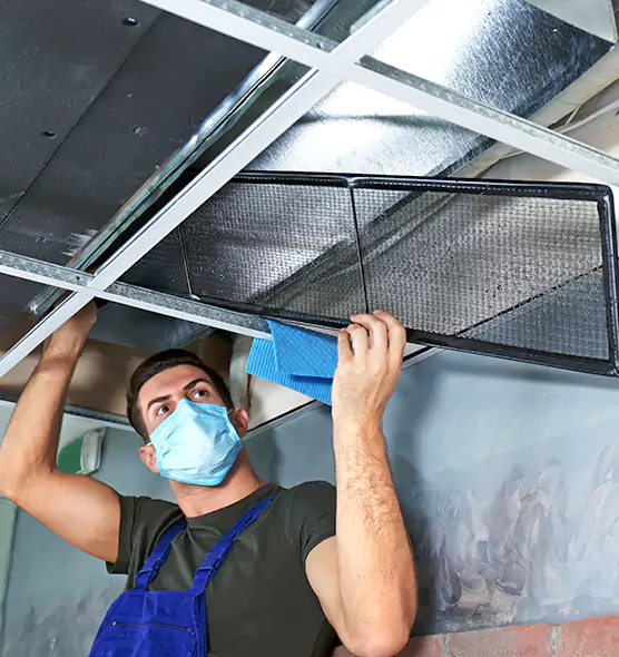 Professional Air Duct Pollen Cleaning in Easley, SC