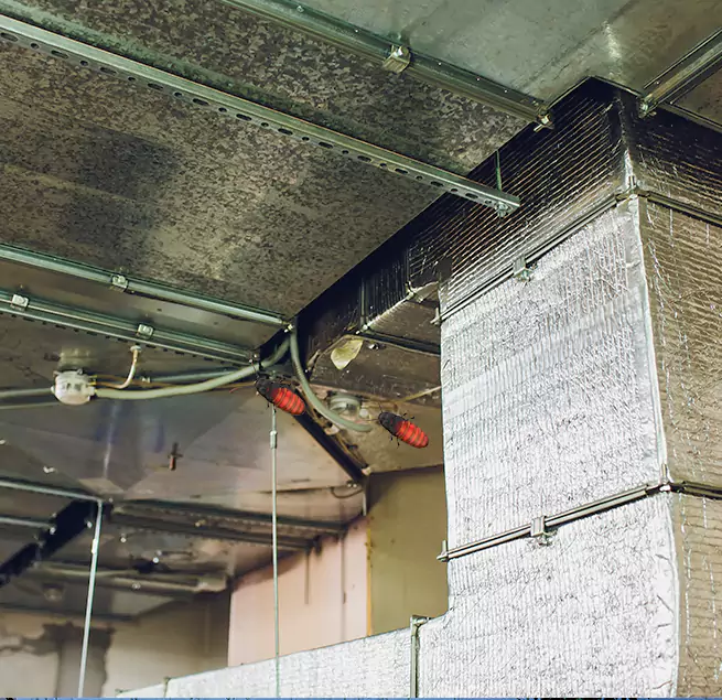 Why Homeowners & Businesses Trust Us in Easley, SC?