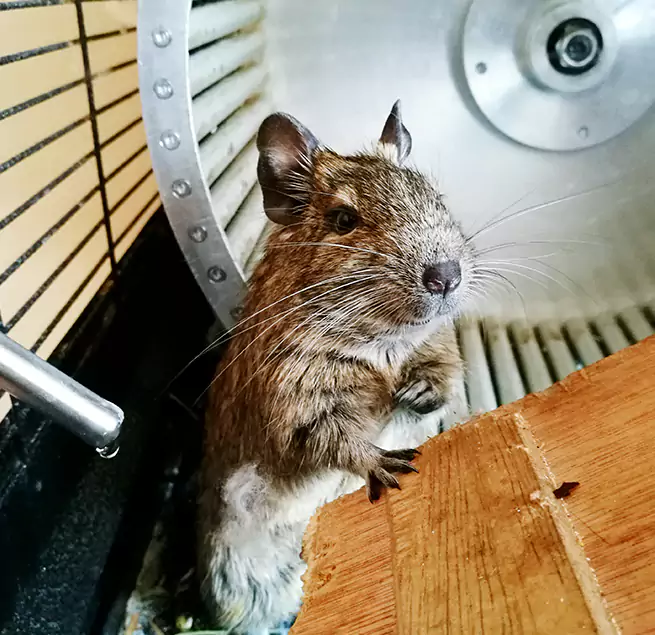 Why Homeowners & Businesses Trust Us Easley, SC