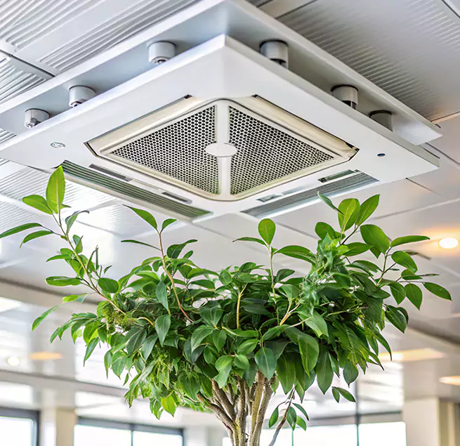 Why Homeowners & Businesses Trust Us in Easley, SC