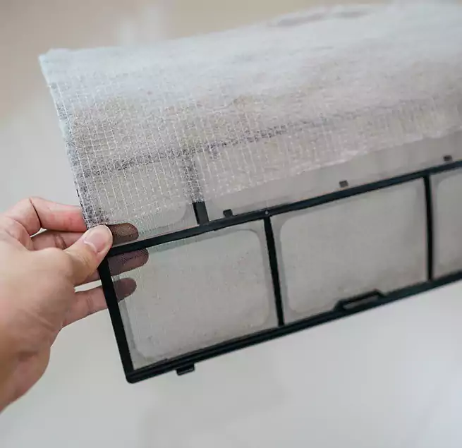 Why Homeowners & Businesses Trust Us in Easley, SC?