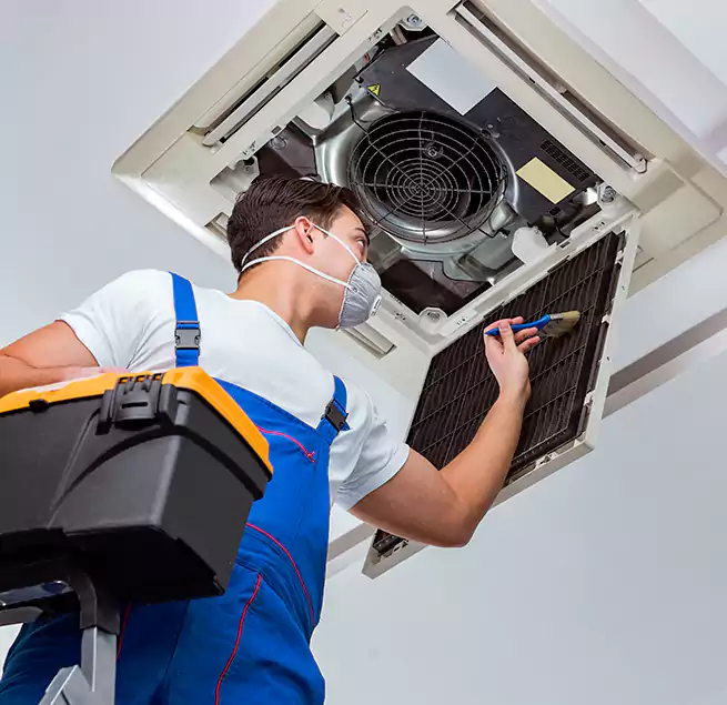 Why Homeowners & Businesses Trust Us in Easley, SC?